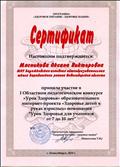 Сертификат за участие в I Областном педагогическом конкурсе "Урок Здоровья" образовательного интернет-проекта "Здоровье детей в руках взрослых"