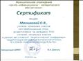 Сертификат за выступление на заседании РМО учителей начальных классов в рамках августовской педагогической конференции "Модернизация образования Барабинского района в условиях изменения законодательства"